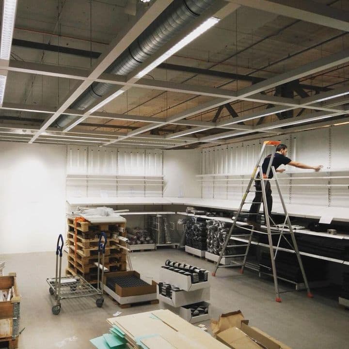 energiek-portret-uit-duiven